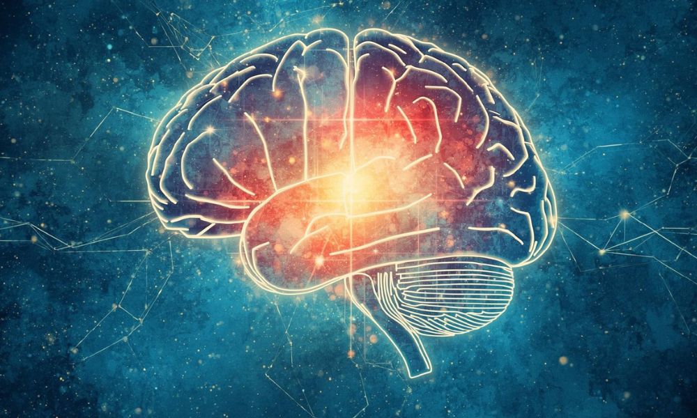 Why Emotional Intelligence is Just as Important as IQ
