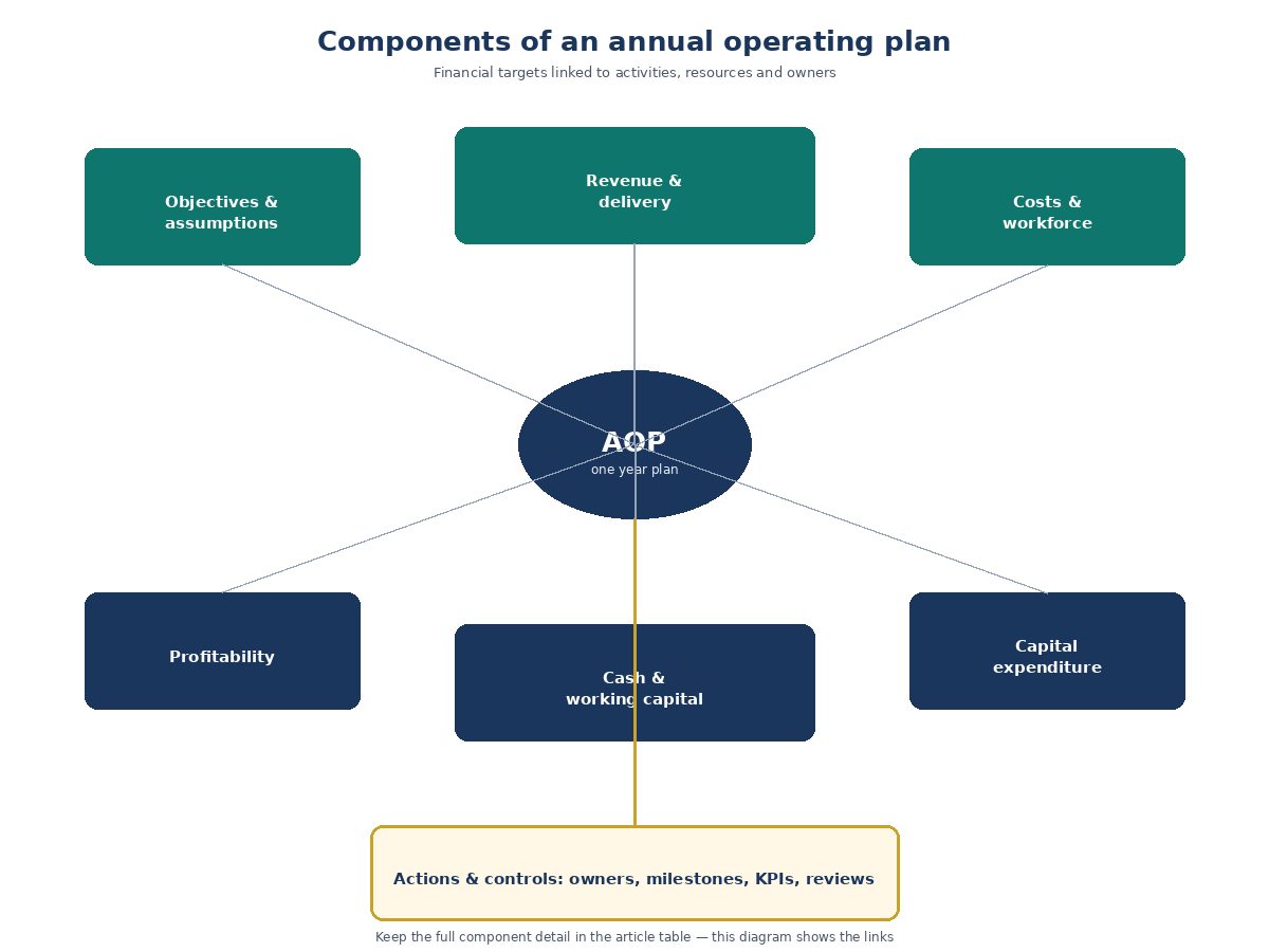 Components of an annual operating plan linking business assumptions, financial schedules and accountable owners
